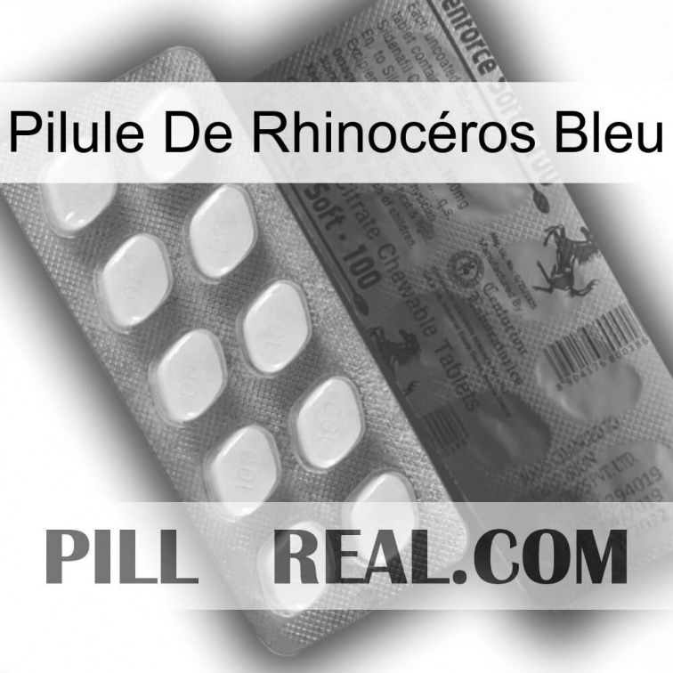 Pilule De Rhinocéros Bleu 34